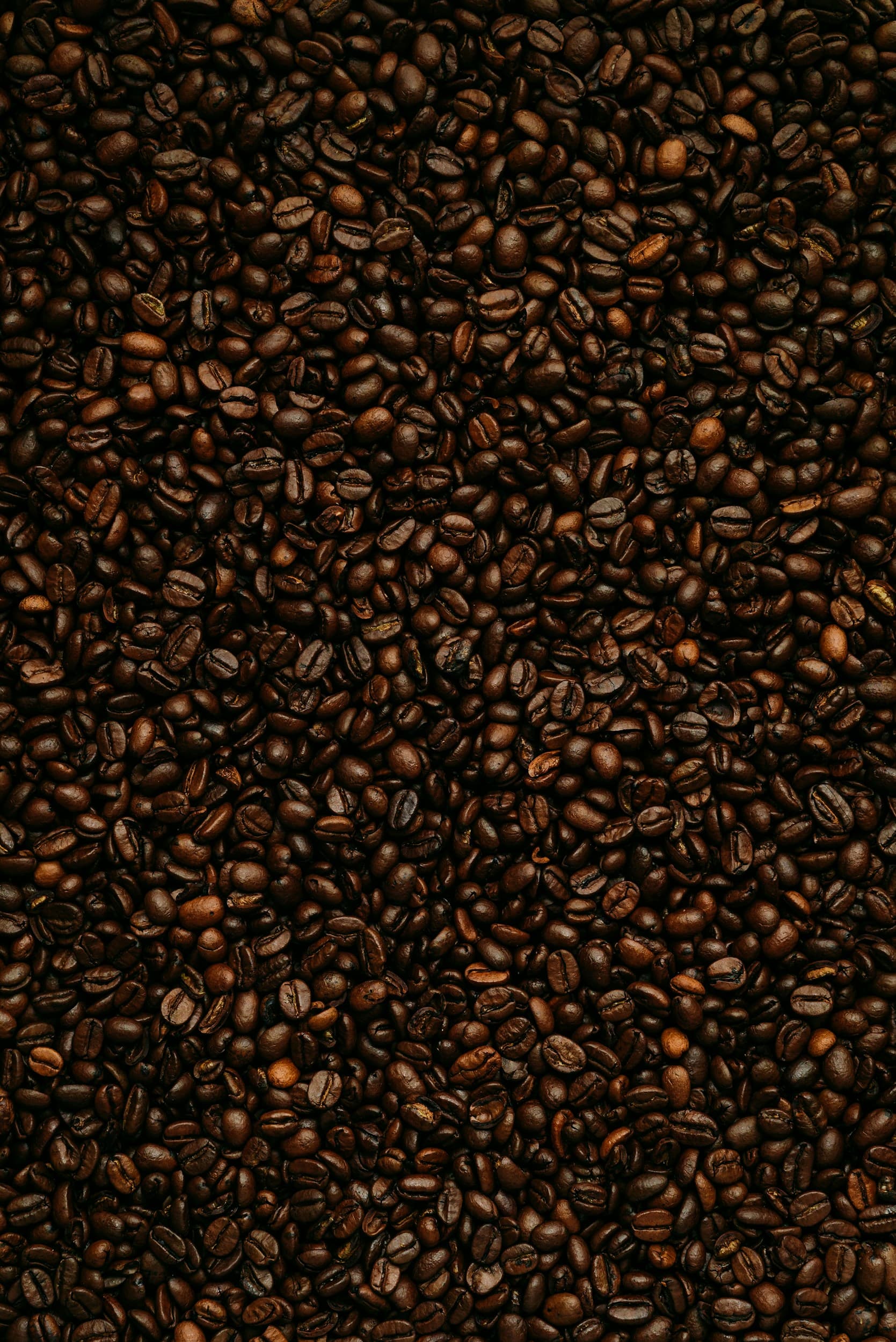Coffee & Product Supply