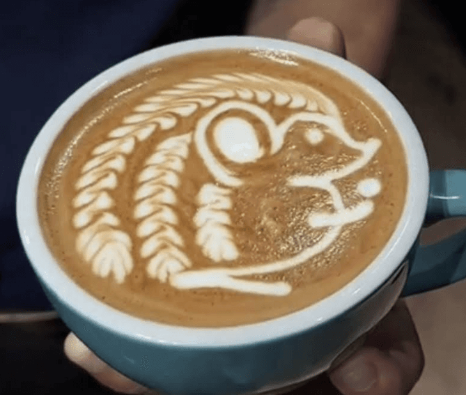 Latte art practice
